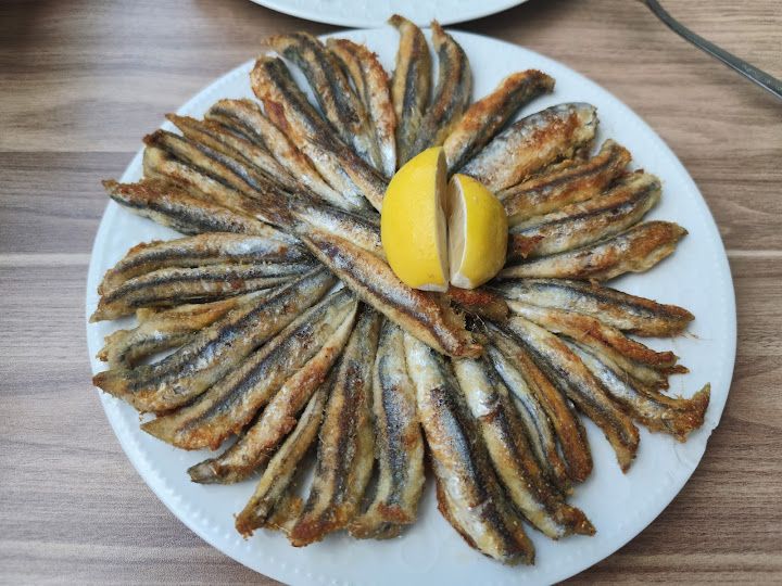 Fotoğraf 14
