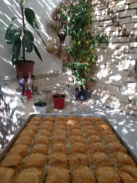 Fotoğraf 17
