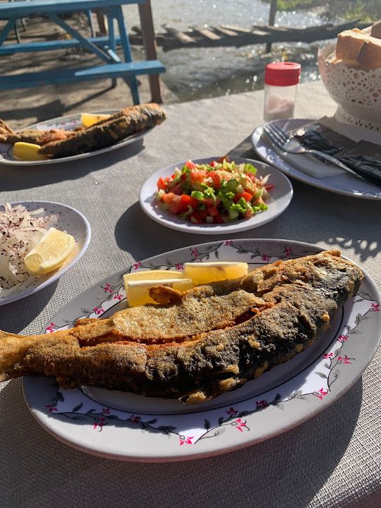 Yorum fotoğrafı 3