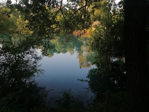 Yorum fotoğrafı 8