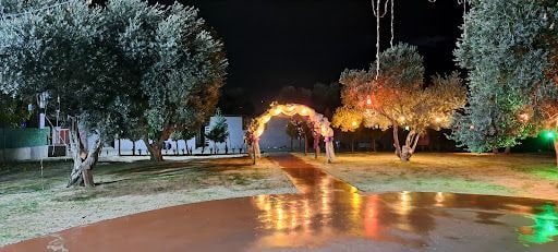 Fotoğraf 21