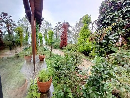 Fotoğraf 26