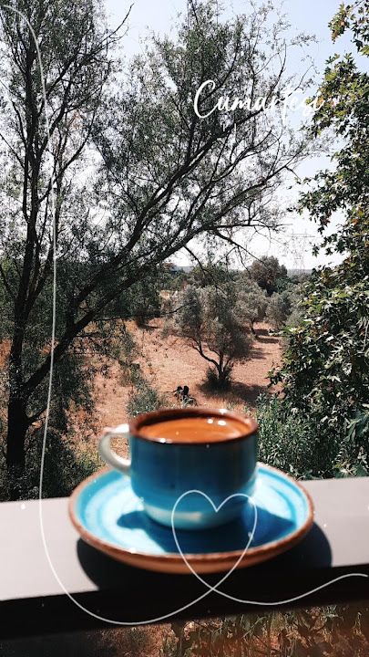 Fotoğraf 47