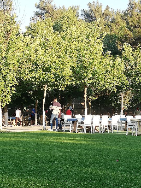 Fotoğraf 56
