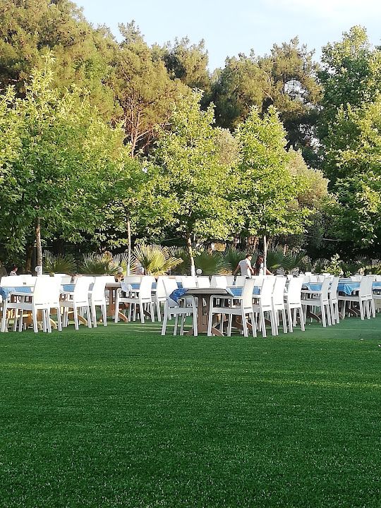 Fotoğraf 55