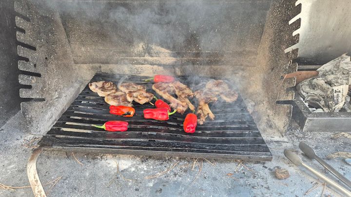 Fotoğraf 15