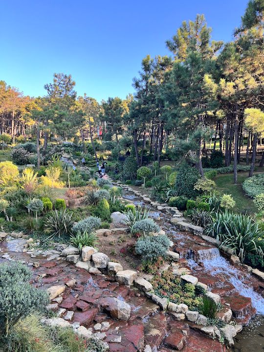Fotoğraf 33