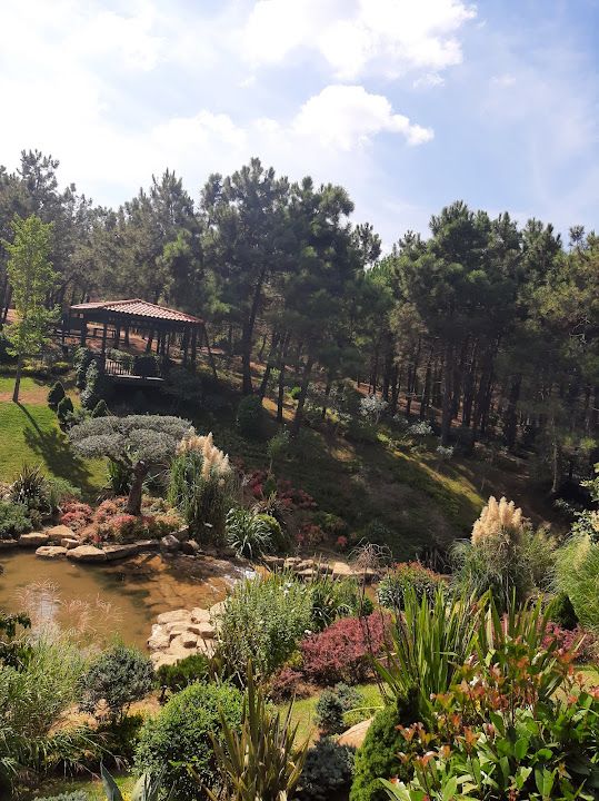 Fotoğraf 25