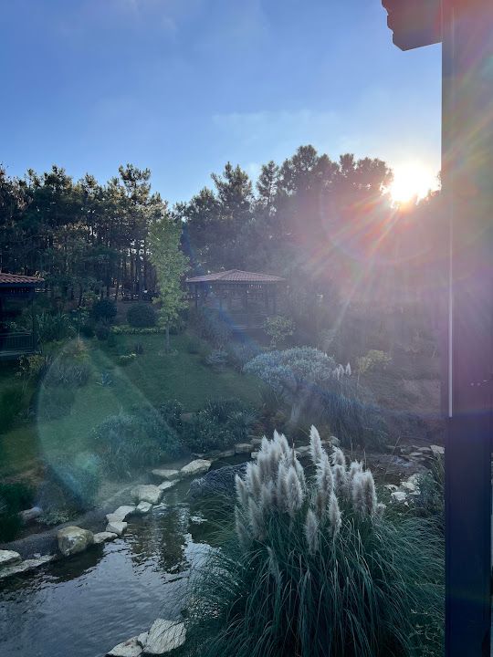 Fotoğraf 34