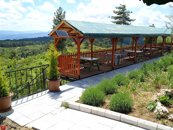 Fotoğraf 19