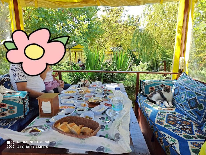 Fotoğraf 35