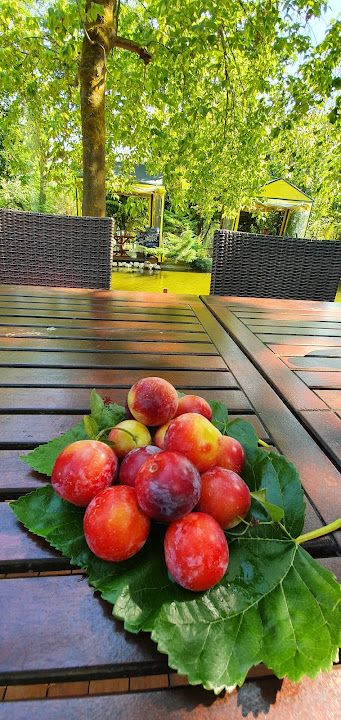 Fotoğraf 34