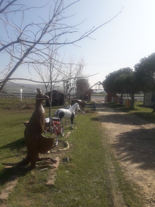 Fotoğraf 43
