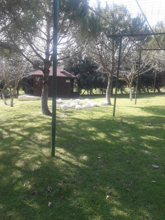 Fotoğraf 44