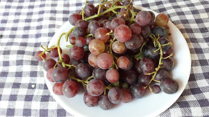 Fotoğraf 19