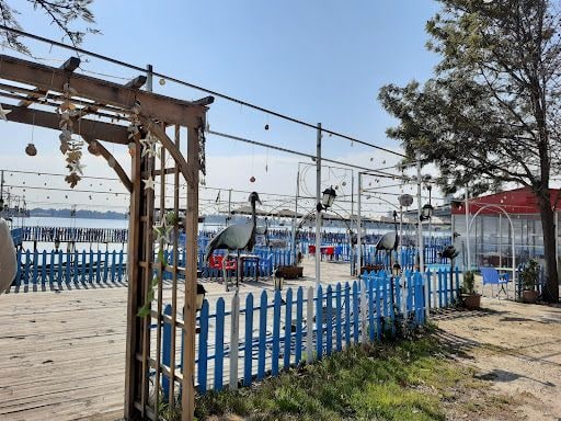 Yorum fotoğrafı 6