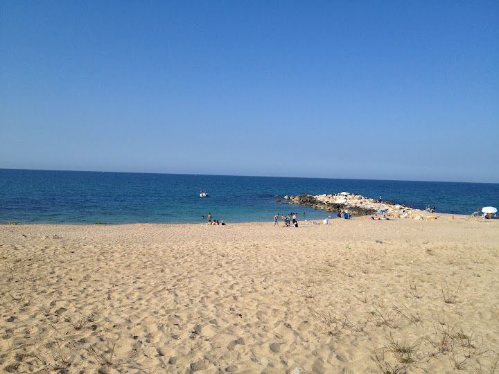 Fotoğraf 55