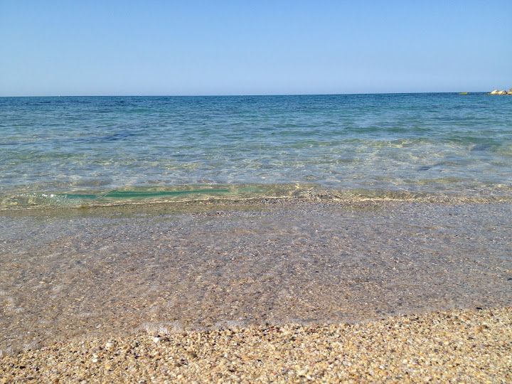 Fotoğraf 53