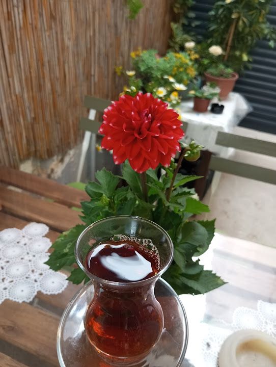 Fotoğraf 19