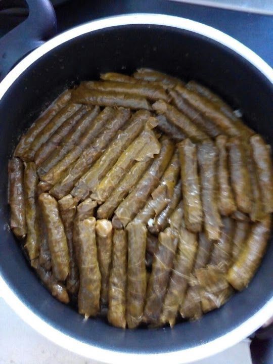 Fotoğraf 13