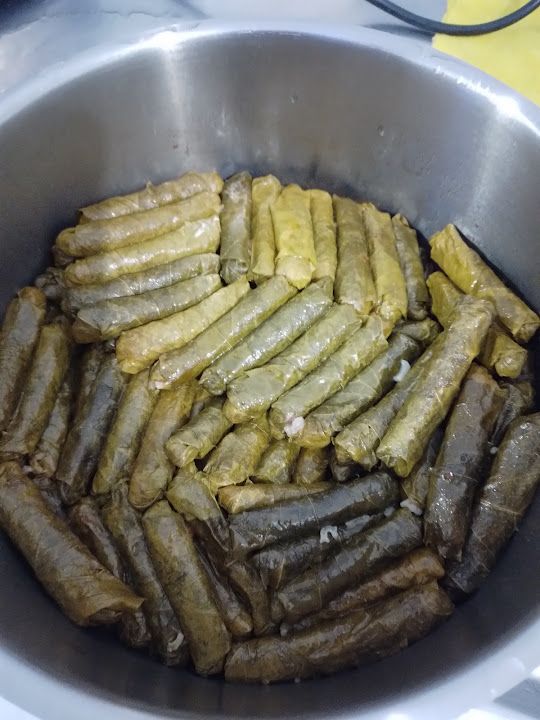 Fotoğraf 14