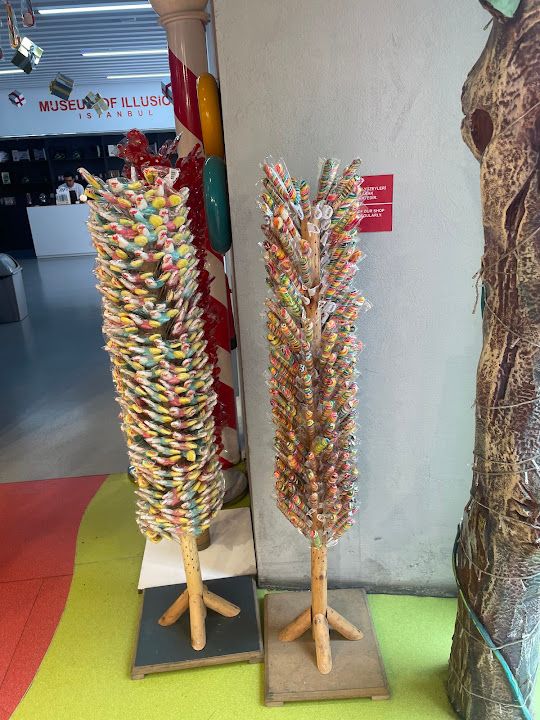 Fotoğraf 37