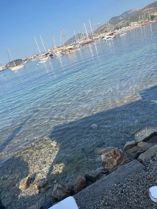 Yorum fotoğrafı 2