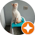 Hapy Cat