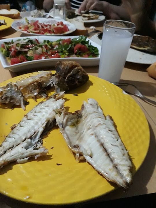 Fotoğraf 16