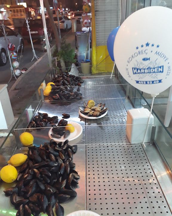 Fotoğraf 14