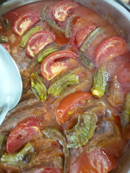 Fotoğraf 17