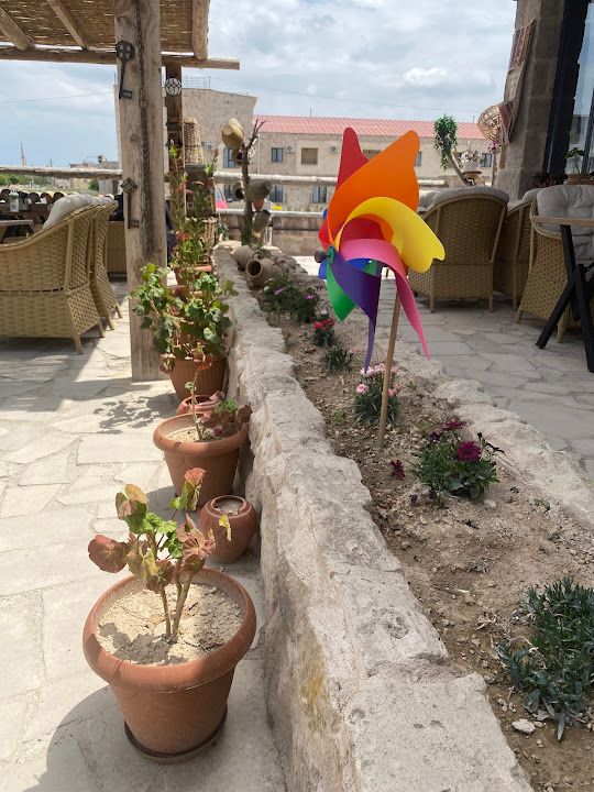Yorum fotoğrafı 3