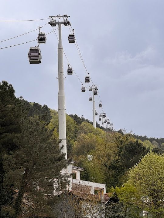 Fotoğraf 30