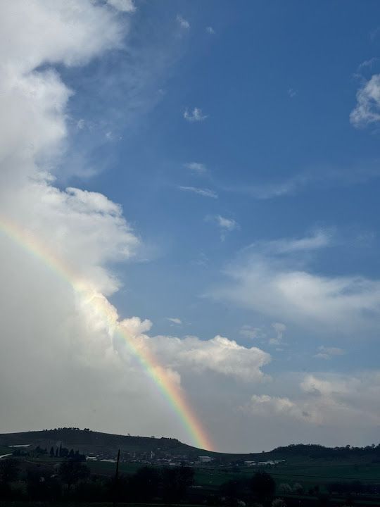 Fotoğraf 29
