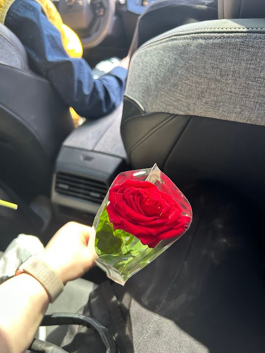 Fotoğraf 25