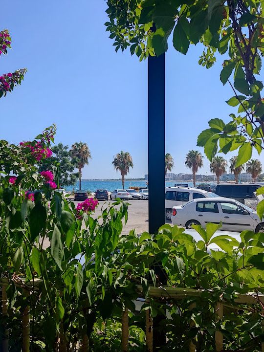 Yorum fotoğrafı 3