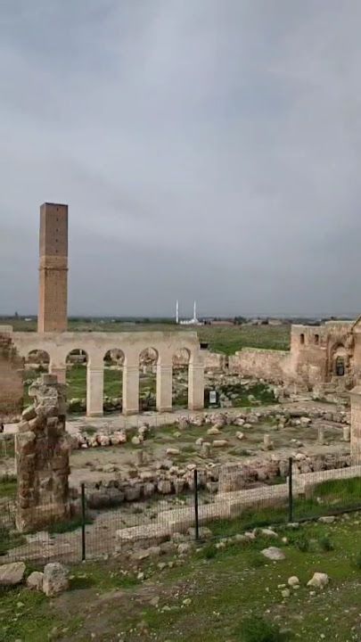 Fotoğraf 30