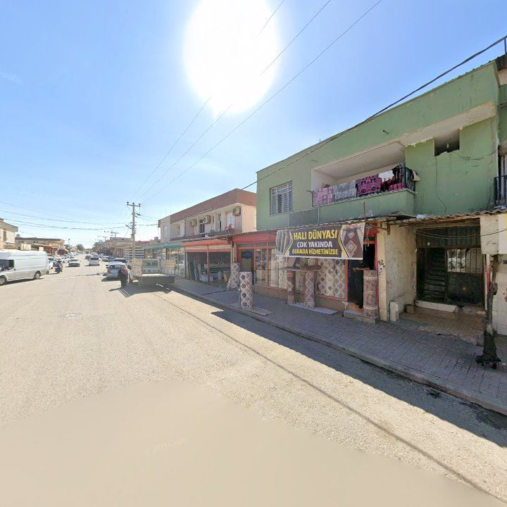 Fotoğraf 5