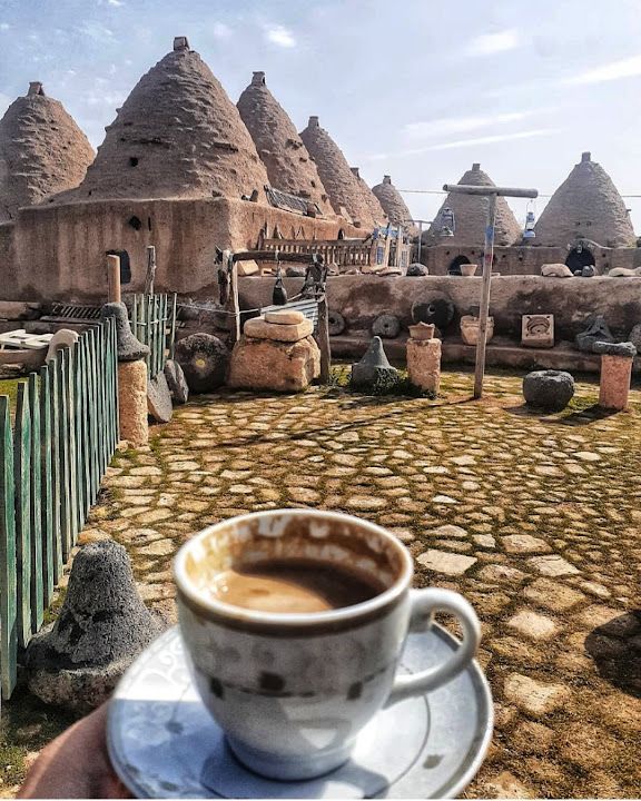Fotoğraf 37