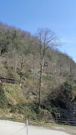 Fotoğraf 23