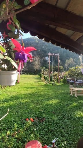 Fotoğraf 40