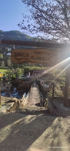 Fotoğraf 41