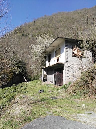 Fotoğraf 25