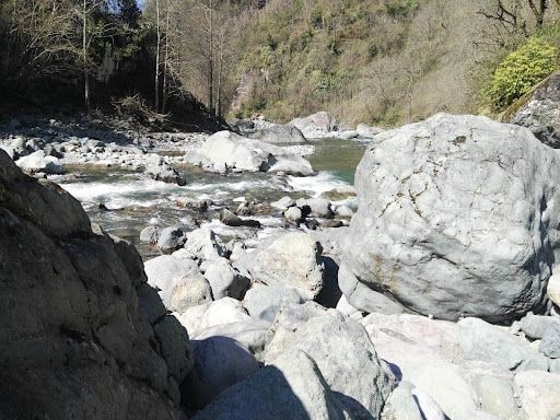 Fotoğraf 26
