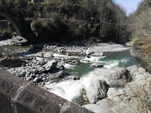 Fotoğraf 30