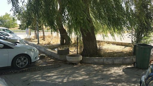 Yorum fotoğrafı 3