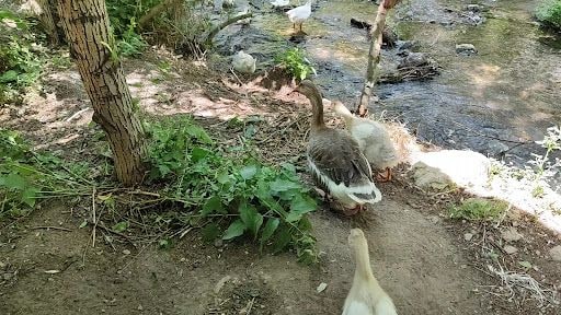 Yorum fotoğrafı 5