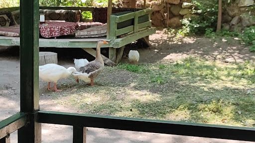 Yorum fotoğrafı 6