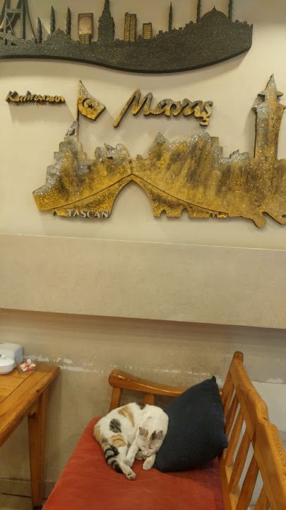 Fotoğraf 30