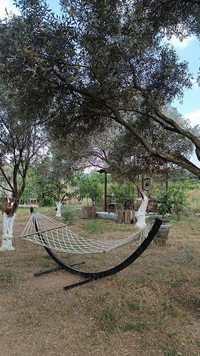 Fotoğraf 12
